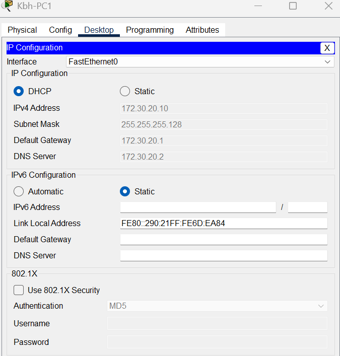 Klient med DHCP tildelt adresse 172.30.20.10 og DNS 172.30.20.2